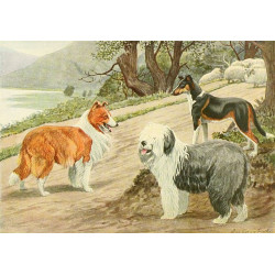 set chiens vintage